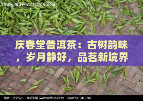 庆春堂普洱茶：古树韵味，岁月静好，品茗新境界