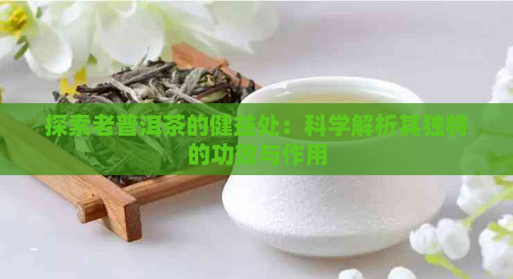 探索老普洱茶的健益处：科学解析其独特的功效与作用