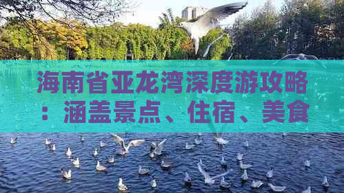 海南省亚龙湾深度游攻略：涵盖景点、住宿、美食、交通一站式指南