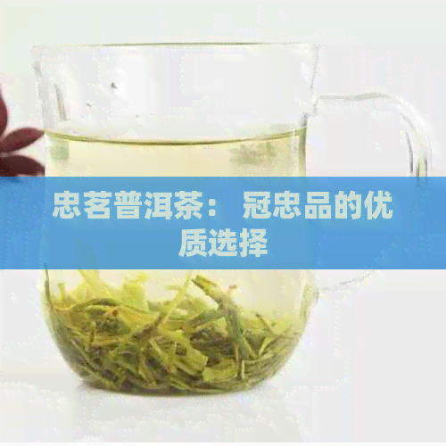 忠茗普洱茶： 冠忠品的优质选择