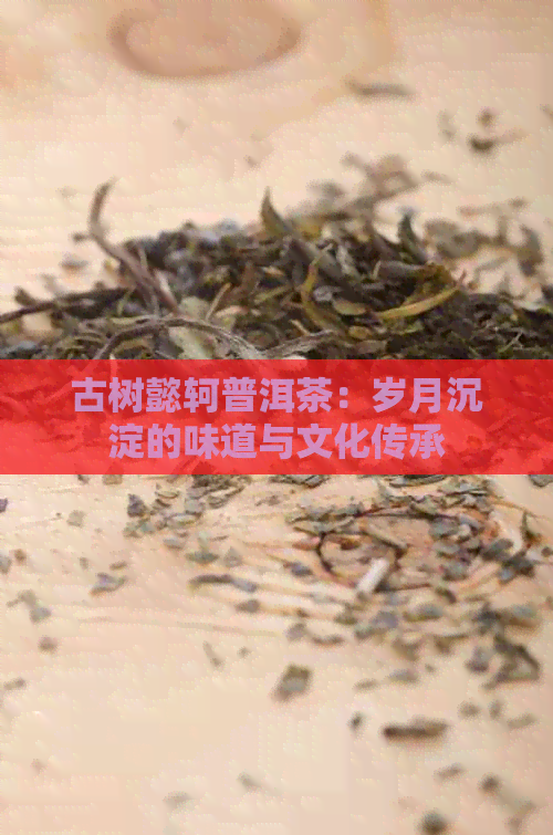 古树懿轲普洱茶：岁月沉淀的味道与文化传承