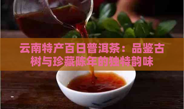 云南特产百日普洱茶：品鉴古树与珍藏陈年的独特韵味