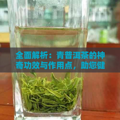 全面解析：青普洱茶的神奇功效与作用点，助您健生活