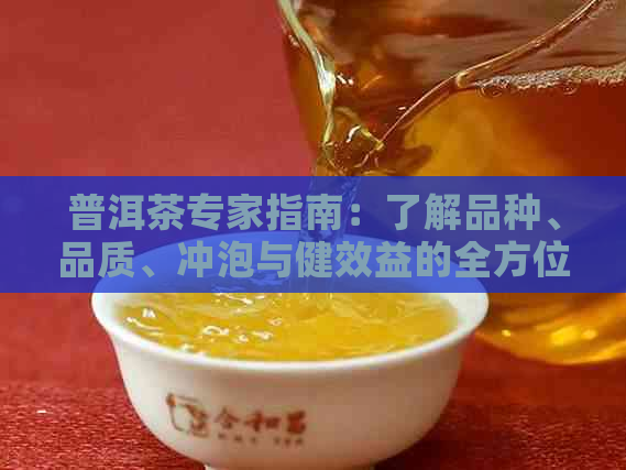 普洱茶专家指南：了解品种、品质、冲泡与健效益的全方位解析