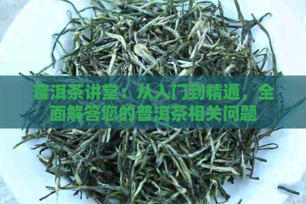 普洱茶讲堂：从入门到精通，全面解答您的普洱茶相关问题