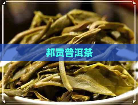 邦贡普洱茶