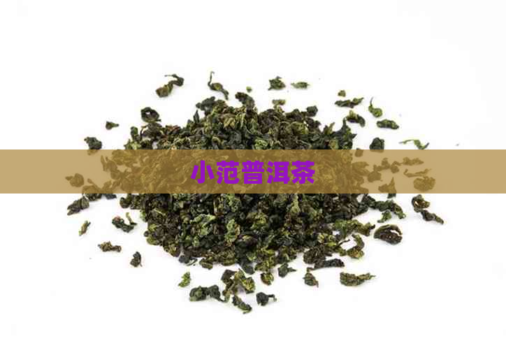 小范普洱茶