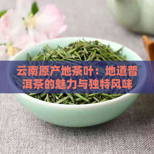 云南原产地茶叶：地道普洱茶的魅力与独特风味