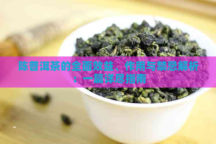 陈普洱茶的全面效益、作用与禁忌解析：一篇详尽指南