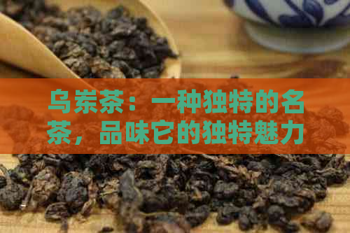 乌岽茶：一种独特的名茶，品味它的独特魅力与价格差异