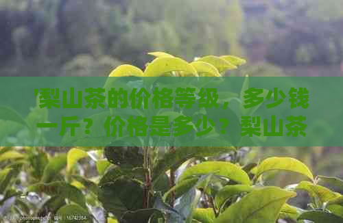 '梨山茶的价格等级，多少钱一斤？价格是多少？梨山茶价格表'