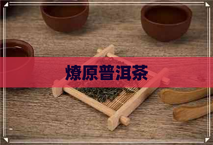 燎原普洱茶