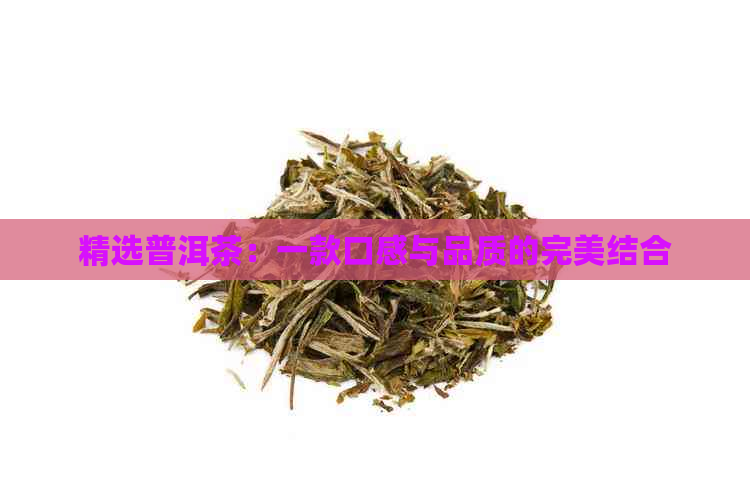 精选普洱茶：一款口感与品质的完美结合