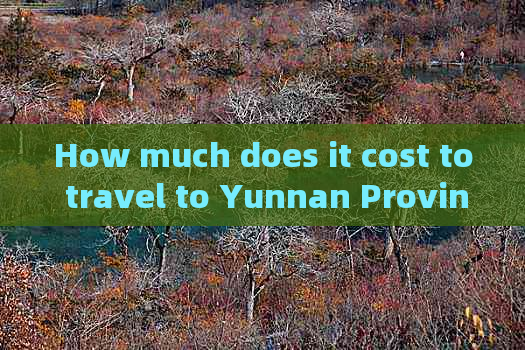 How much does it cost to travel to Yunnan Province per person?