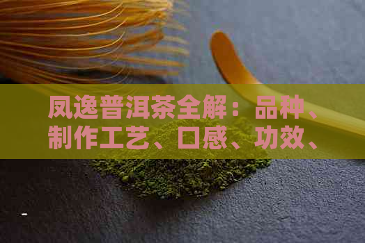 凤逸普洱茶全解：品种、制作工艺、口感、功效、购买指南等一应俱全