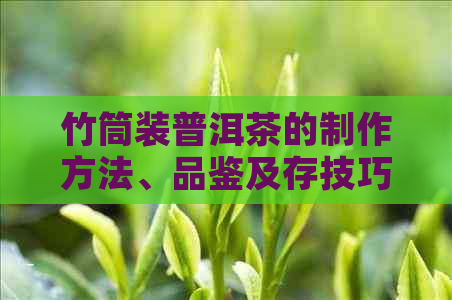 竹筒装普洱茶的制作方法、品鉴及存技巧，如何选购和鉴别优质普洱茶