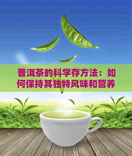 普洱茶的科学存方法：如何保持其独特风味和营养价值