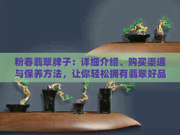 粉春翡翠牌子：详细介绍、购买渠道与保养方法，让你轻松拥有翡翠好品味