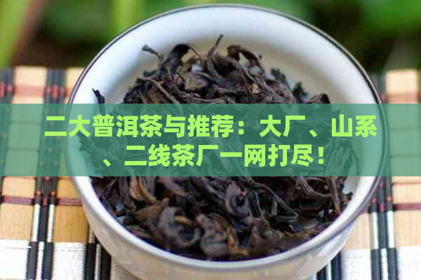 二大普洱茶与推荐：大厂、山系、二线茶厂一网打尽！