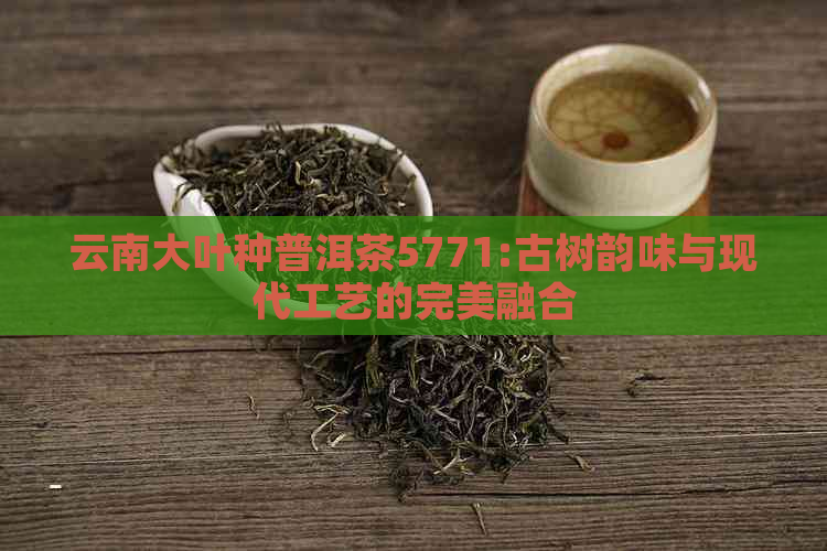 云南大叶种普洱茶5771:古树韵味与现代工艺的完美融合