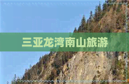 三亚龙湾南山旅游