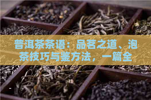 普洱茶茶语：品茗之道、泡茶技巧与鉴方法，一篇全面解析普洱茶的知识库