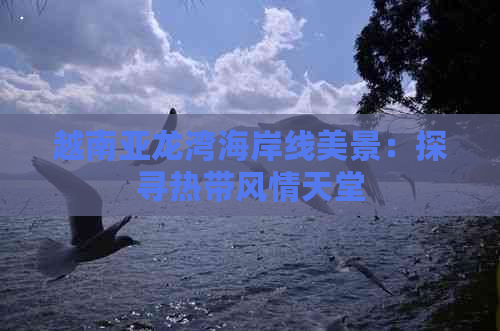 越南亚龙湾海岸线美景：探寻热带风情天堂