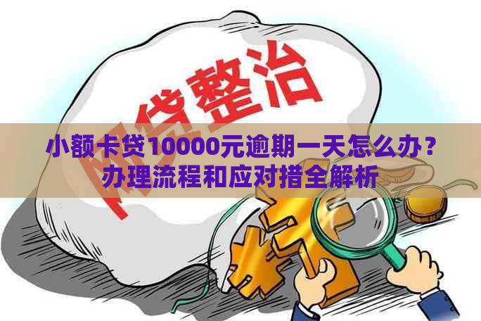 小额卡贷10000元逾期一天怎么办？办理流程和应对措全解析