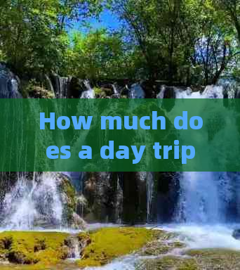 How much does a day trip to Yunnan cost during the Chinese New Year?