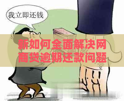 新如何全面解决网商贷逾期还款问题？用户可能关心的几个方面