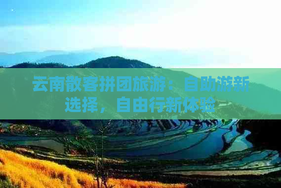 云南散客拼团旅游：自助游新选择，自由行新体验