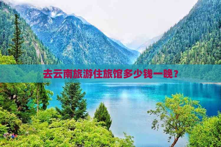 去云南旅游住旅馆多少钱一晚？