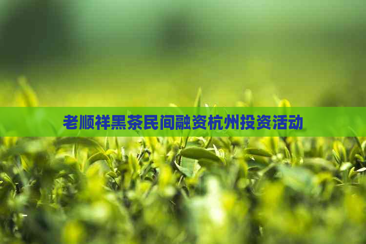 老顺祥黑茶民间融资杭州投资活动