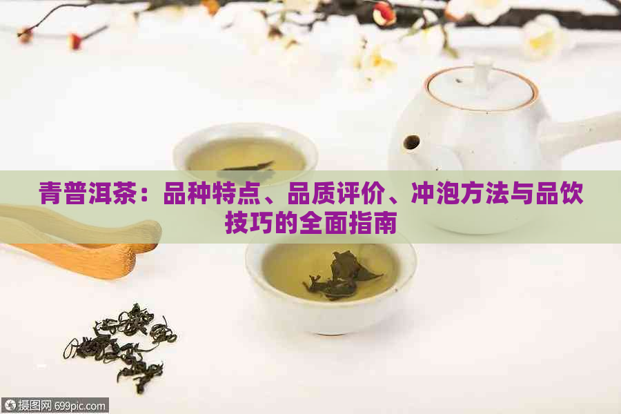 青普洱茶：品种特点、品质评价、冲泡方法与品饮技巧的全面指南