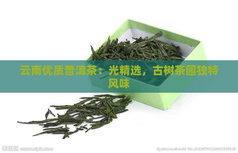 云南优质普洱茶：光精选，古树茶园独特风味