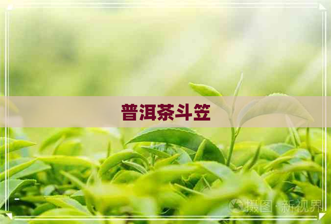 普洱茶斗笠