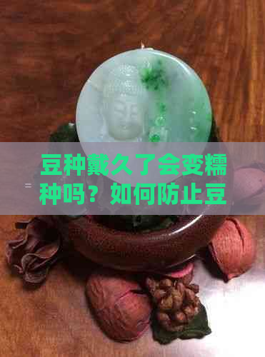 豆种戴久了会变糯种吗？如何防止豆种变糯？