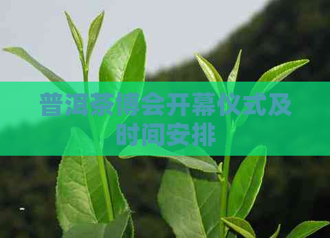 普洱茶博会开幕仪式及时间安排