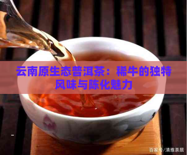 云南原生态普洱茶：稀牛的独特风味与陈化魅力