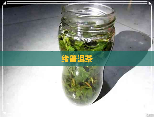 绪普洱茶