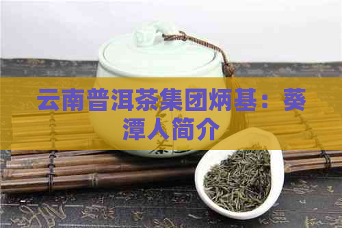 云南普洱茶集团炳基：葵潭人简介