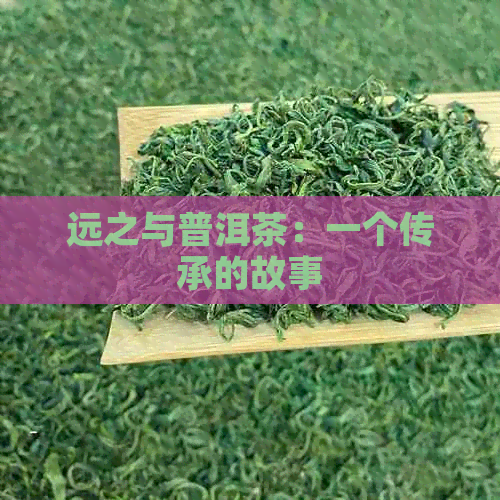 远之与普洱茶：一个传承的故事