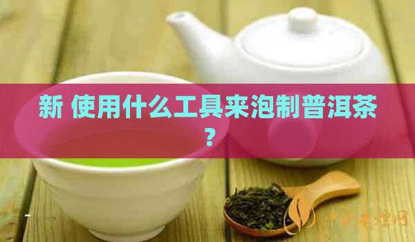 新 使用什么工具来泡制普洱茶？