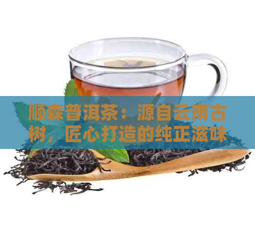 顺森普洱茶：源自云南古树，匠心打造的纯正滋味