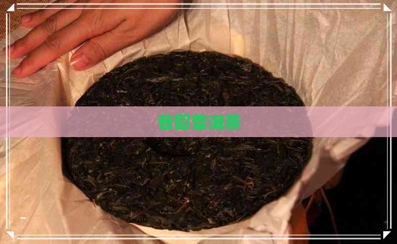 昔圆普洱茶