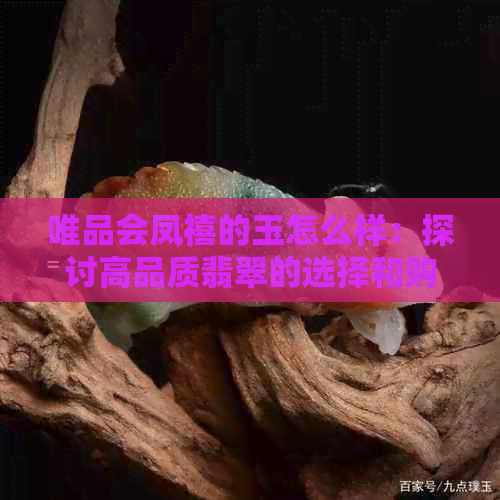 唯品会凤禧的玉怎么样：探讨高品质翡翠的选择和购买