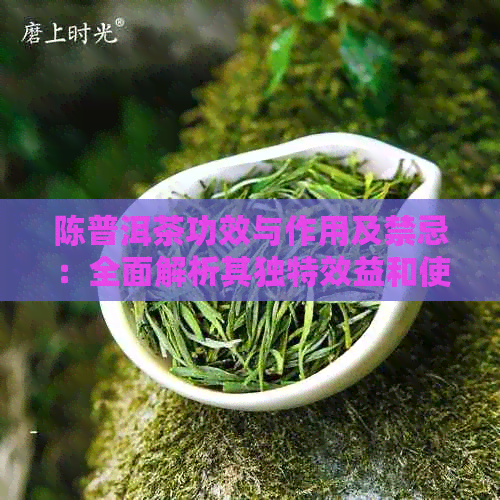 陈普洱茶功效与作用及禁忌：全面解析其独特效益和使用注意事项