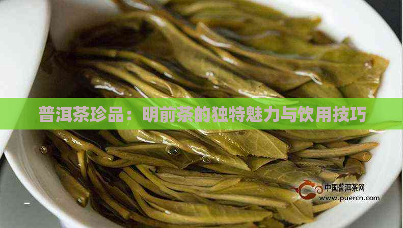 普洱茶珍品：明前茶的独特魅力与饮用技巧