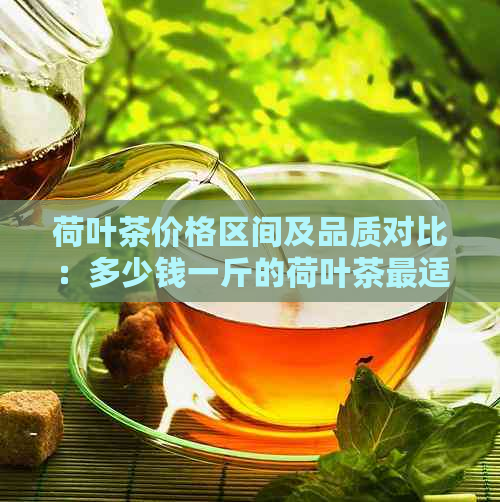 荷叶茶价格区间及品质对比：多少钱一斤的荷叶茶最适合？