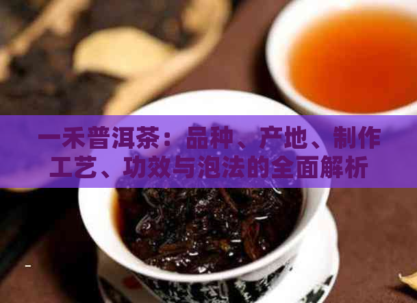 一禾普洱茶：品种、产地、制作工艺、功效与泡法的全面解析